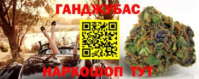 гашик Нарткала