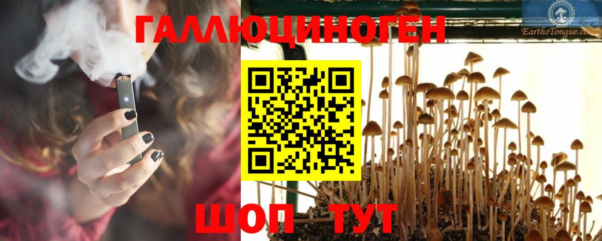 Усть-Джегута  Галлюциногенные грибы мухоморы  Вход с VPN 